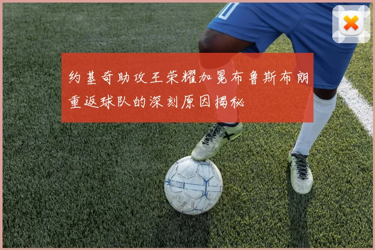 约基奇助攻王荣耀加冕布鲁斯布朗重返球队的深刻原因揭秘