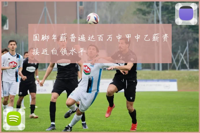 国脚年薪普遍达百万中甲中乙薪资接近白领水平