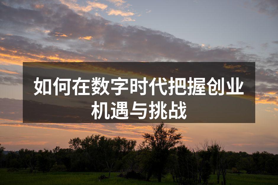 如何在数字时代把握创业机遇与挑战